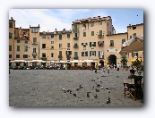 Lucca : Piazza Mercato met amfitheater
