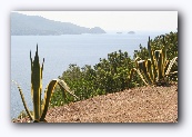 Elba :Wandeling op Capo della Stella