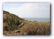 Natuurgebied tussen La Caleta en Playa Paraiso